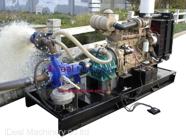 1. IES Ideal End Suction Pump 002