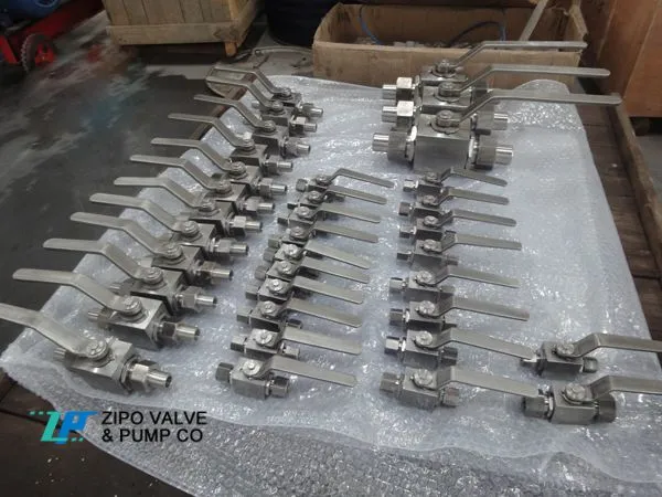 Stainless Steel High Pressure Ball Valve Special for CNG Natural Gas Station photo-2