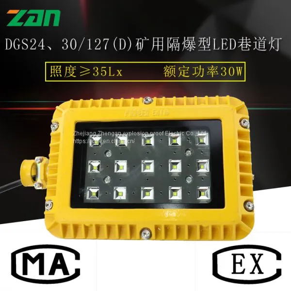 DGS30/127L(D) Шахтная взрывобезопасная светодиодная туннельная лампа. Шахтная светодиодная лампа с удостоверением угольной безопасности