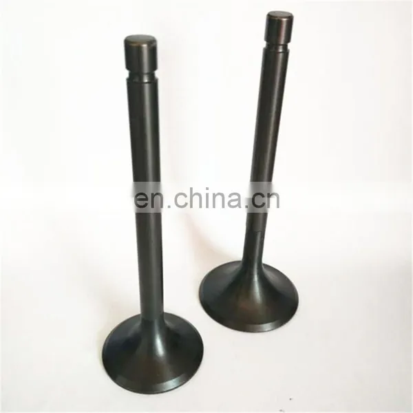 China Engine Parts Diesel Intake Exhaust Engine Valve Guide Seat Insert for Sinotruk HOWO Truck Wd615 61560050042 VG1560051001 photo-6