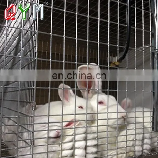 Metal Welded Chain Link Wire Outdoor Dog Kennels Dog Cages Welded Mesh Metal Cheap photo-4