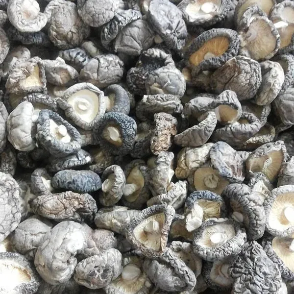 Dried Mushroom ,fungus and Agricultural Products