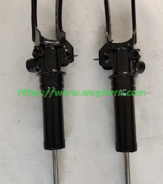 7L6616039 7L6616040 95534303420 95534303421 Hot Selling Nice Quality ADS Shock for Audi Q7 4L VW Touareg Porsche 955 957 Front LH & RH 2002-2010 photo-2