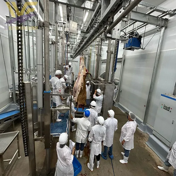 China Cattle Slaughter Equipment USDA Beef Butcher Line Abattoir Machinery Customized Processing Factory Production Solution