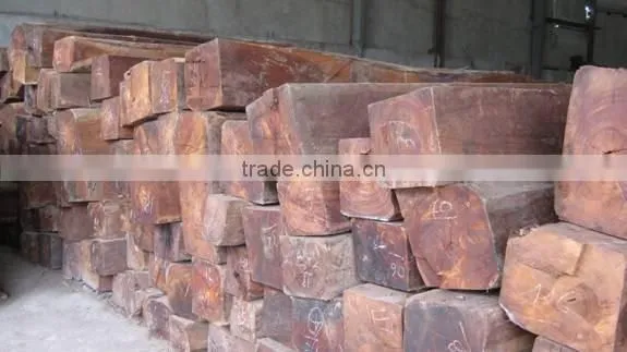 High Quality CAMXE CAMBODIA WOOD With Very Cheap Price photo-2