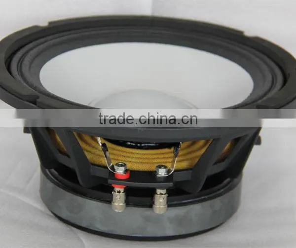 8 Inch 100W Cheaper Subwoofer Loudspeaker
