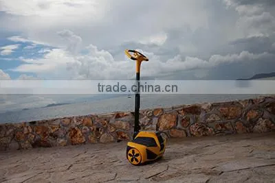 Electric Chariot photo-2