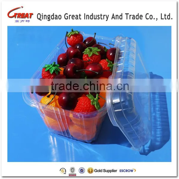 Disposable Blister Plastic Small Tomato Fruit Container Packaging Box photo-3