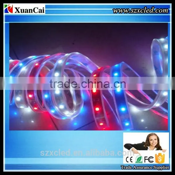 CE RoHS (XC-3528-240LED/M) Indoor/Outdoor Soft/flexible and Hard/rigid LED Strips Lights Display photo-5