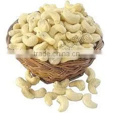 High Quality Vietnam Cashew Kernels Grade WW320, WW450, WS photo-6