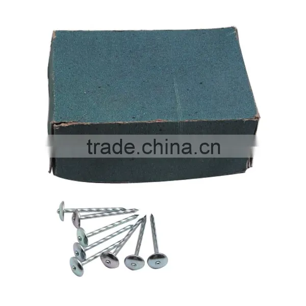 Insulation Nails With Flat Head,Stainless Steel Nail