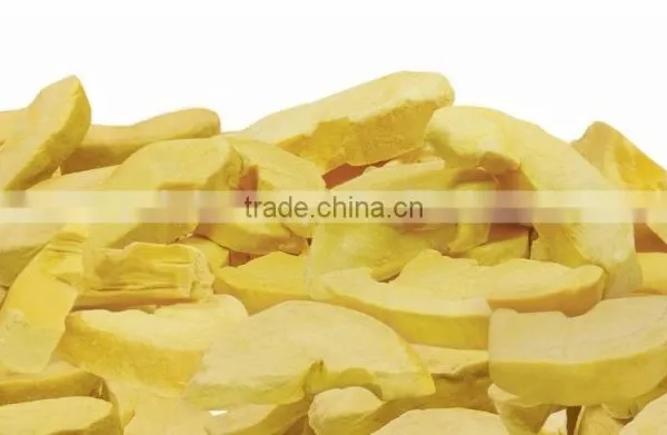 Vacuum Freeze Dried Durian Monthong ( Golden Pillow ) From Thailand Certified HACCP, ISO 22000, GMP, HALAL and KOSHER photo-4