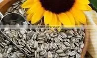 SUNFLOWER BLACK SEEDS photo-2