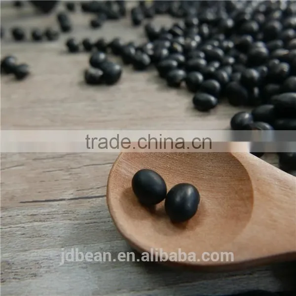 HPS Big Black Beans /black soya beans/ black soybeans with green kernels