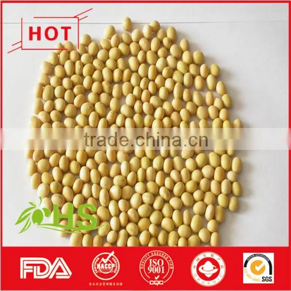 Hot Sale Dried Soybeans in Bulk With High Quality photo-3