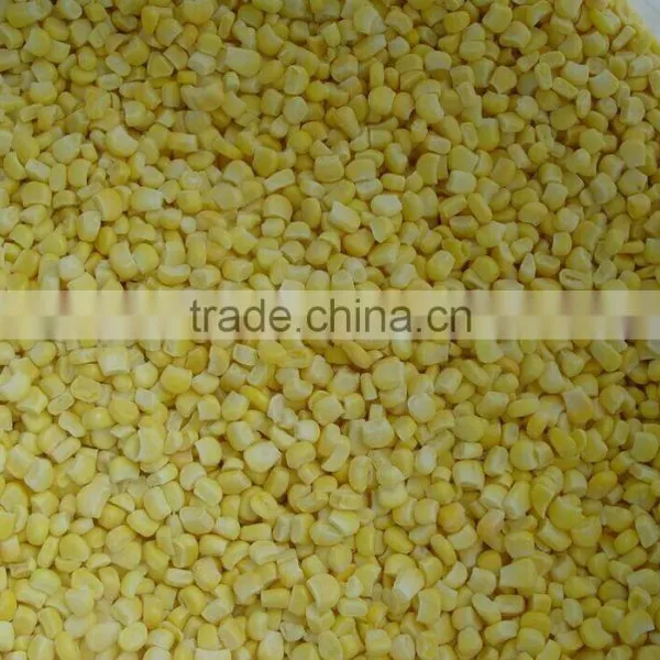 NON-GMO Frozen Sweet Corn Kernels IQF Sweet Corn