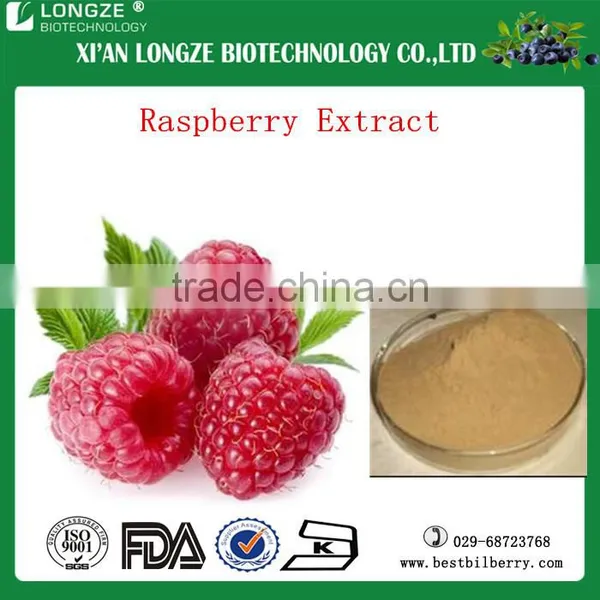 raspberry extract / raspberry P.E