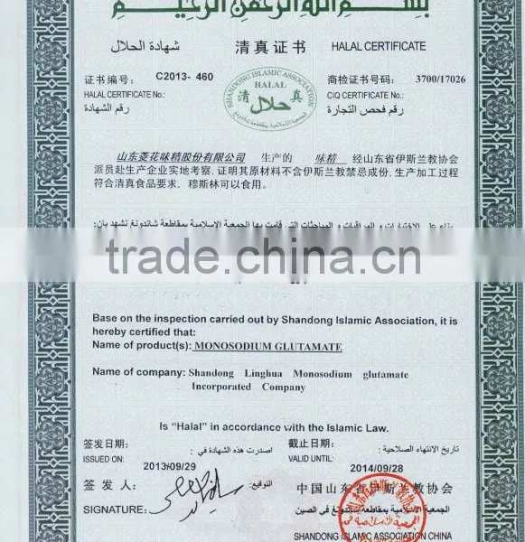 Msg Manufacturer China photo-2