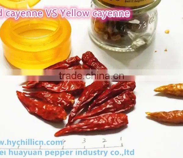 Red Cayenne Pepper photo-4