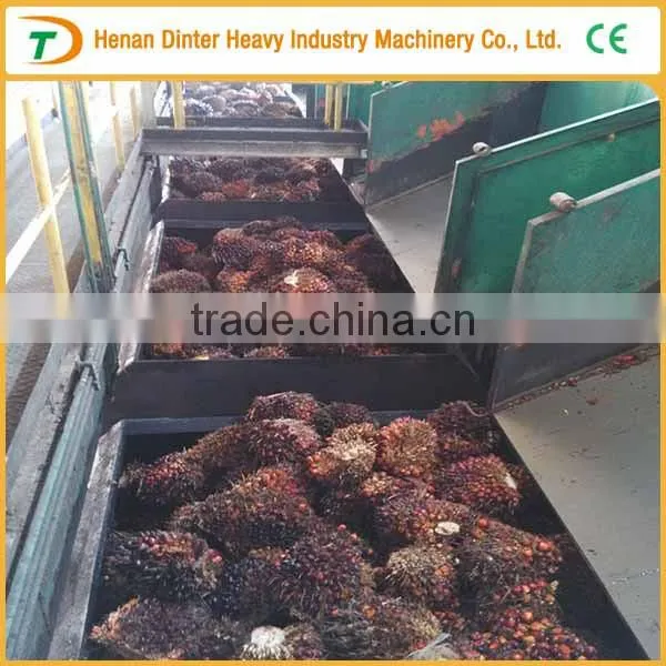 5TPH Palm Fruit Extract Plant photo-4