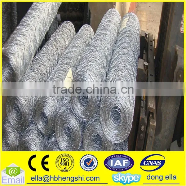 Hexagonal Mesh/Hexagonal Wire Mesh photo-4