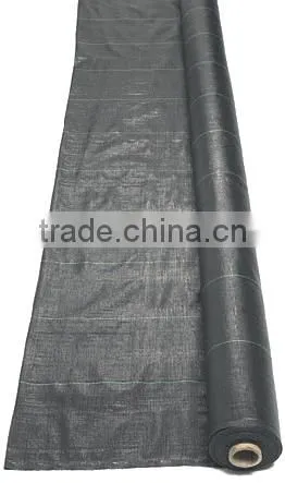 Agricultural Black Anti Grass Ground Cover Weed Net photo-6