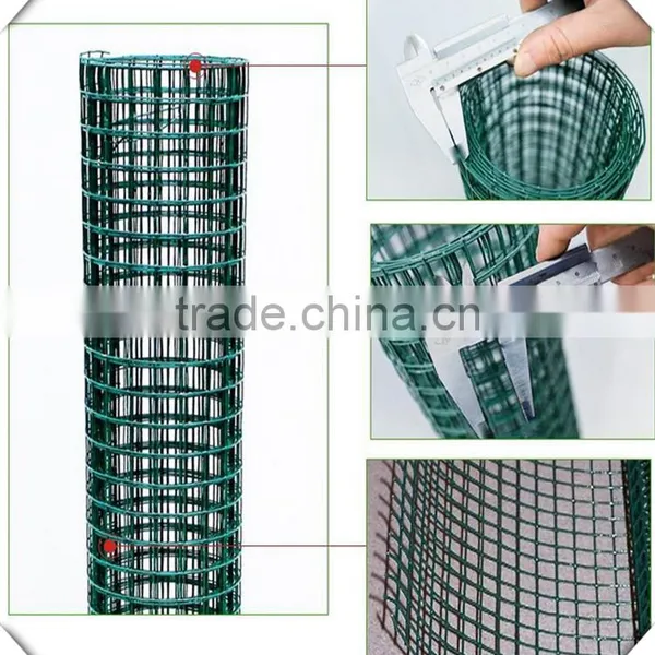 2017 Qiangyu Hot Sale PVC Coated Welded Wire Mesh Price photo-5