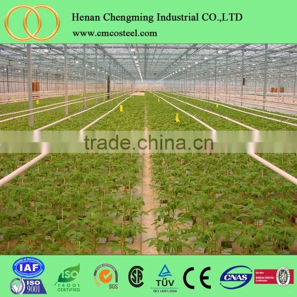Economical Vegetable Plastic Tunnel Greenhouse and Prices for Agriculture photo-5