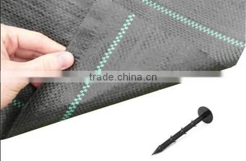 PP or PE Plastic Weed Control Mat With Green Line photo-4