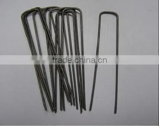 Sod Staples