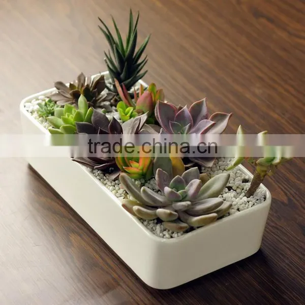 Home Desktop Decorative White Rectangular Ceramic Planter photo-2