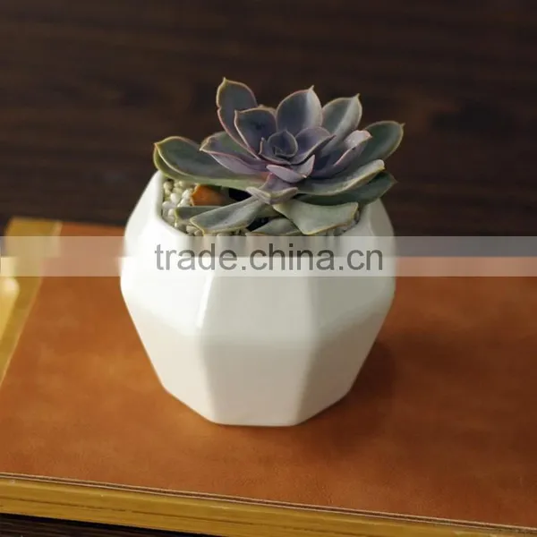 Creative Octagon White Ceramic Small Interior Decorative Pots photo-3