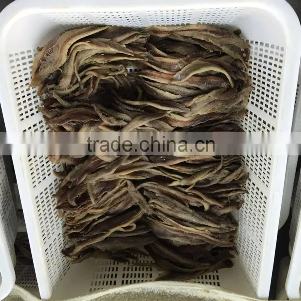 New Season Salted Anchovy Fillet photo-5