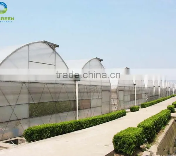 Low Cost PEP Plastic Film Covering Tunnel Tomato Greenhouse photo-3