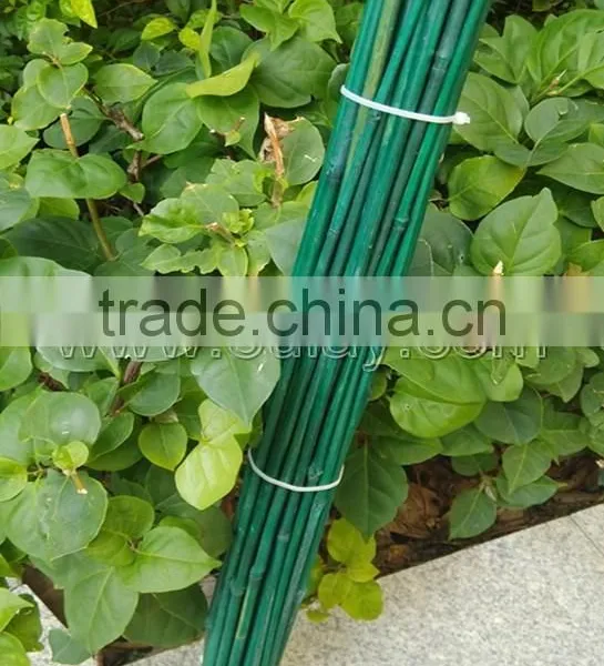 Dyed Green Bamboo Sticks for Garden&agriculture photo-2