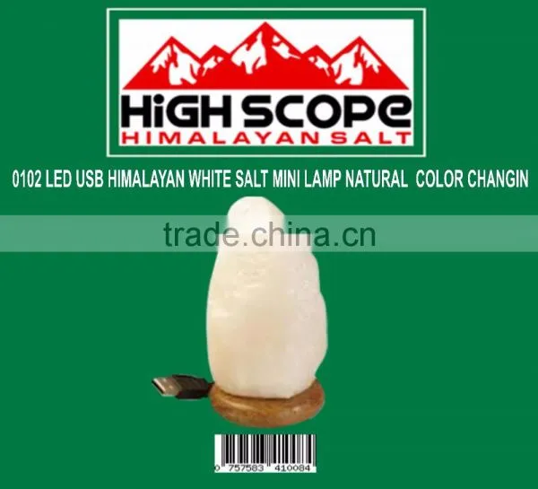 USB POWERED HIMALAYAN WHITE SALT MINI LAMP NATURAL SHAPE COLOR CHAGNING