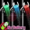 3 Color Changing Led Shower Head photo-2