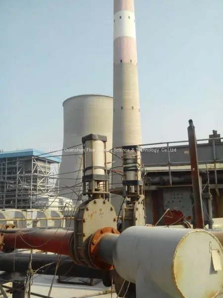 Material Handling Valve for Ash Handling System at Power Plant photo-3