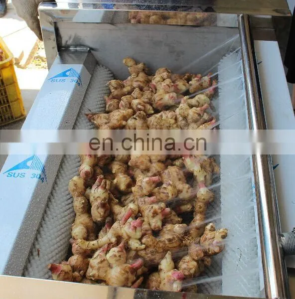 Commercial Low Price Vegetable Brush Cleaner Washer Potato Baby Carrot Onion Peeling Machine for Sale photo-7