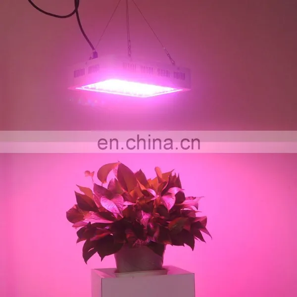Explosion Indoor Full Spectrum Led Plant Light High Power Plant Growth Lighting Fill Light photo-3