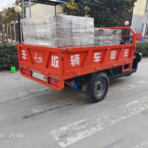 Electric Heavy Cargo Load Tricycle photo-4