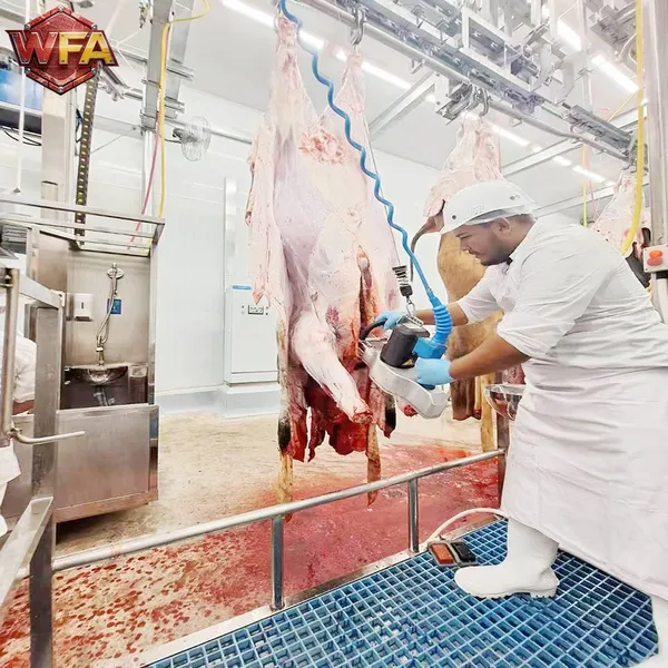 Stainless Steel Pig Bleeding Trough Automatic Pig Hair Removing Machine Pig Slaughter Equipment For Sale photo-4