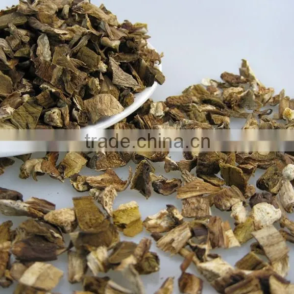 Fibrin Dried White FUNGUS MUSHROOM 2016 photo-2