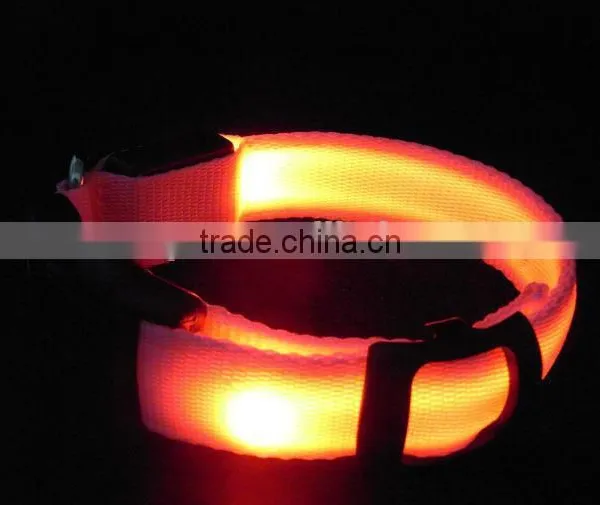 Pure Color Double Side Exposure Flat Optical Fibre Led Pet Dog Collar photo-2