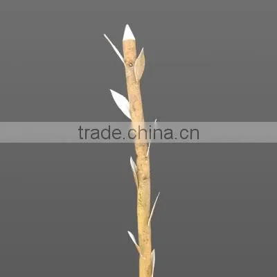 Sola Leaf Stem