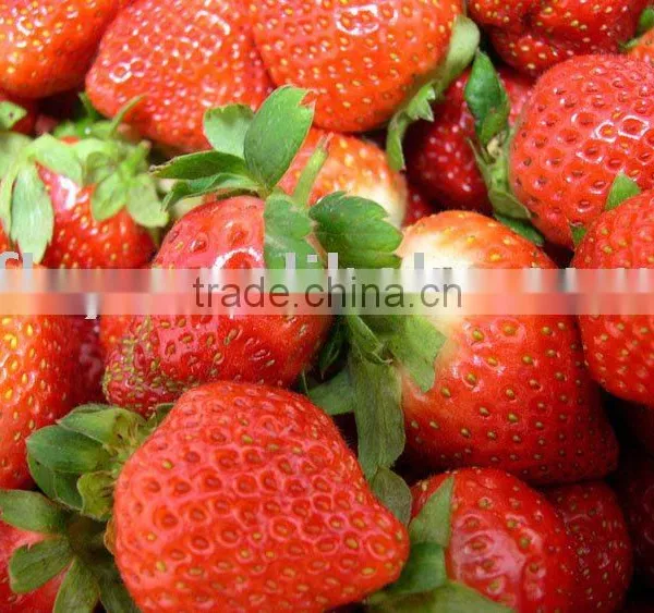 Frozen Strawberry