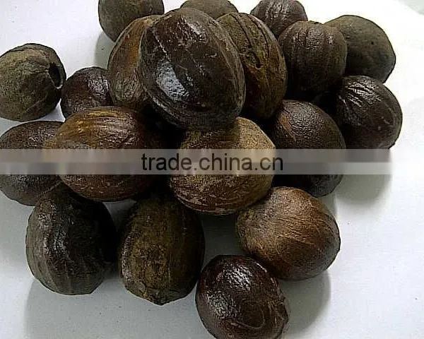 Mace/ Jawitri From Indonesia. Siaw or Papua Type photo-2