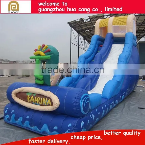 Commercial Grade Giant Inflatable Water Slide for Sale photo-5