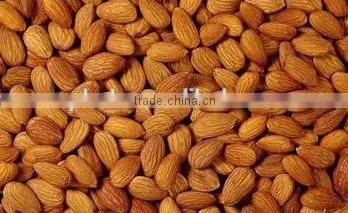 Stainless Steel Almond Cutter With Best Price photo-2