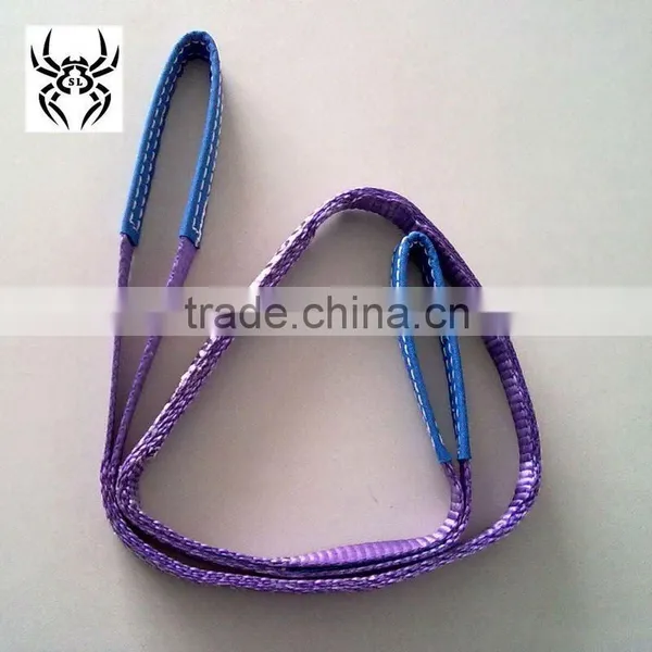 High Tenacity Polyester Material Endless Webbing Sling / Endless Sling / Textile Webbing Slings / Lifting Sling / Webbing Lift